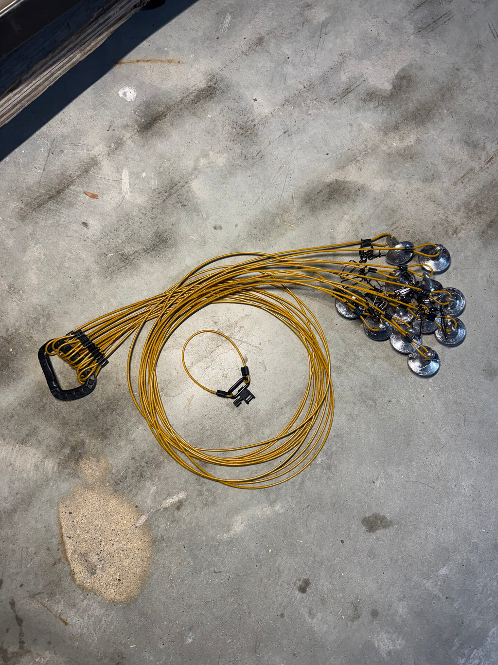 Texas Rigs