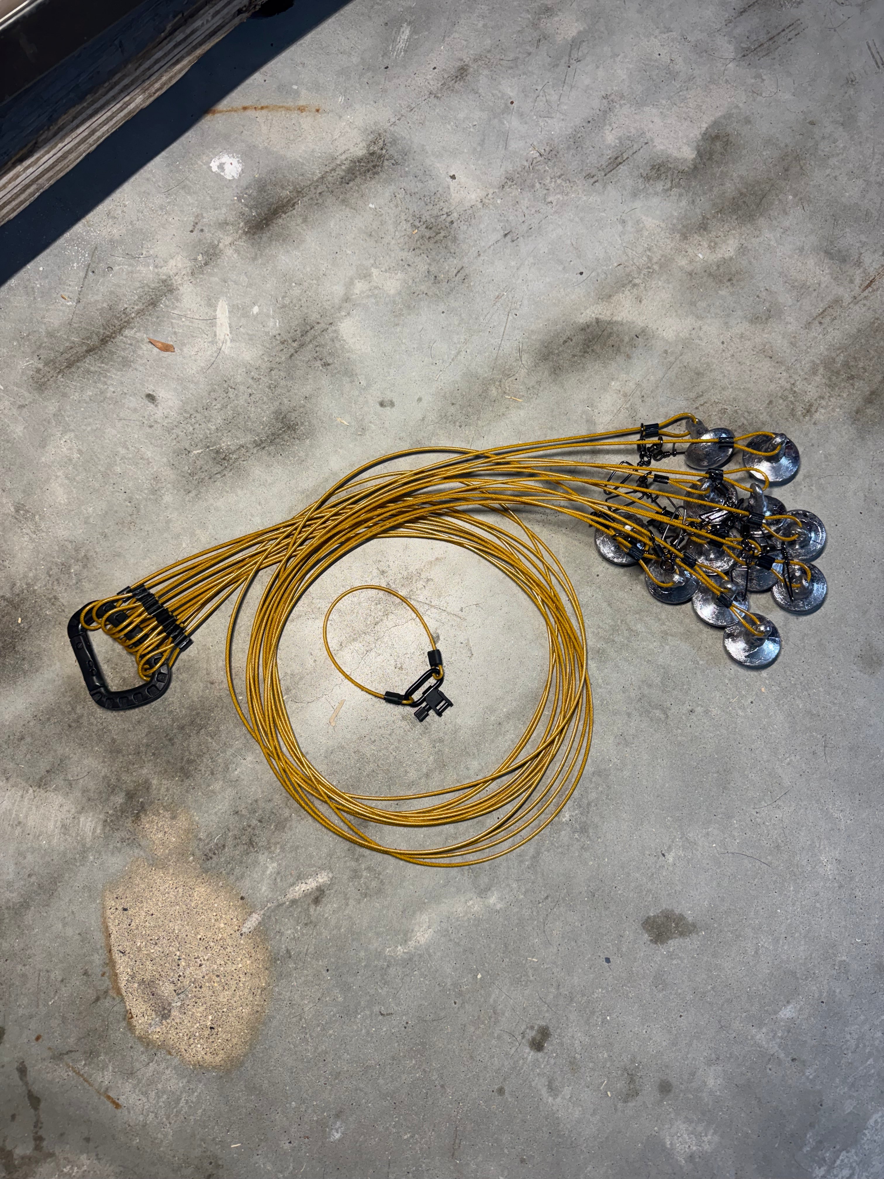 Texas Rigs